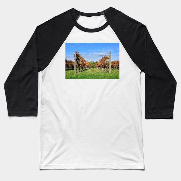 Autumnal Grape Vines Baseball T-Shirt by jojobob